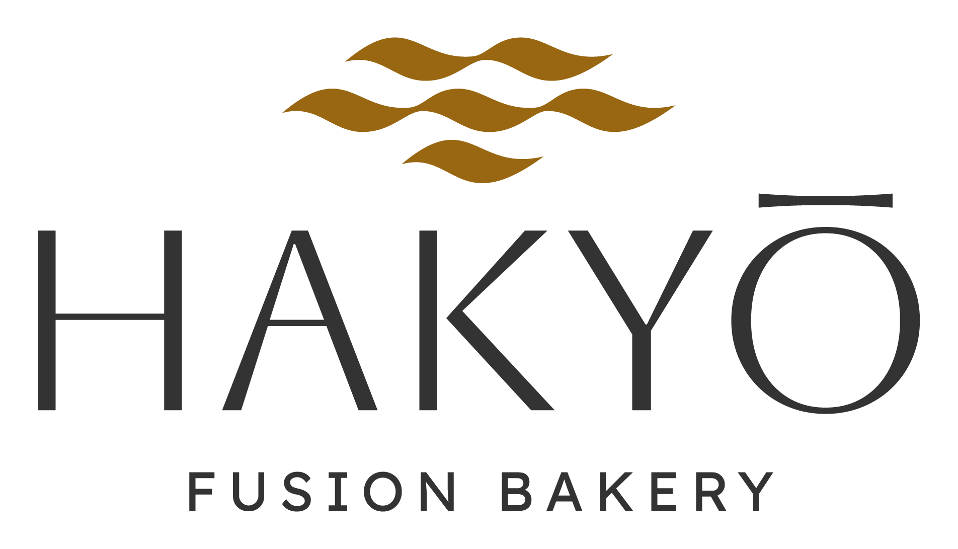 Hakyo-Logo-03.png