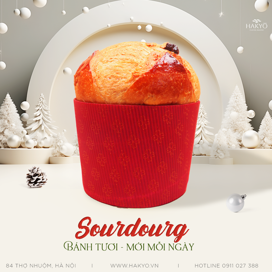 Sourdough Panettone